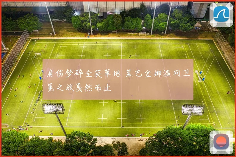 肩伤梦碎全英草地 莱巴金娜温网卫冕之旅戛然而止
