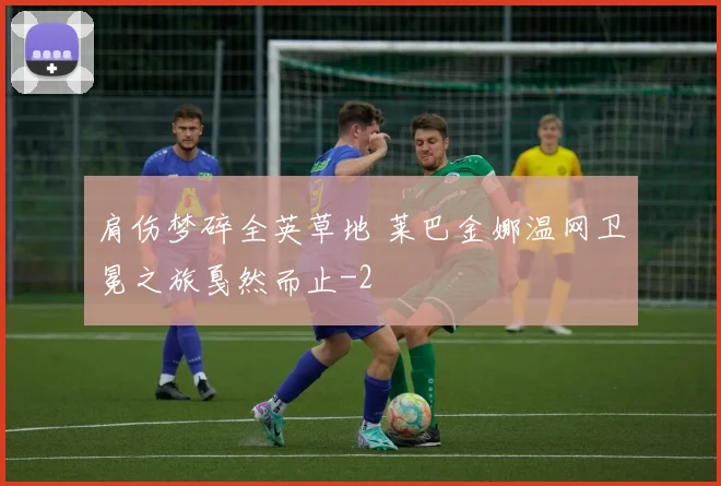 肩伤梦碎全英草地 莱巴金娜温网卫冕之旅戛然而止