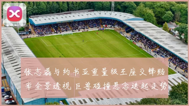 张志磊与约书亚重量级王座交锋赔率全景透视 巨兽碰撞悬念迭起走势推演