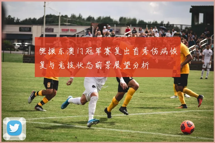 樊振东澳门冠军赛复出首秀伤病恢复与竞技状态前景展望分析